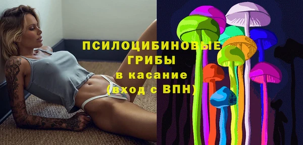 ешки Пересвет