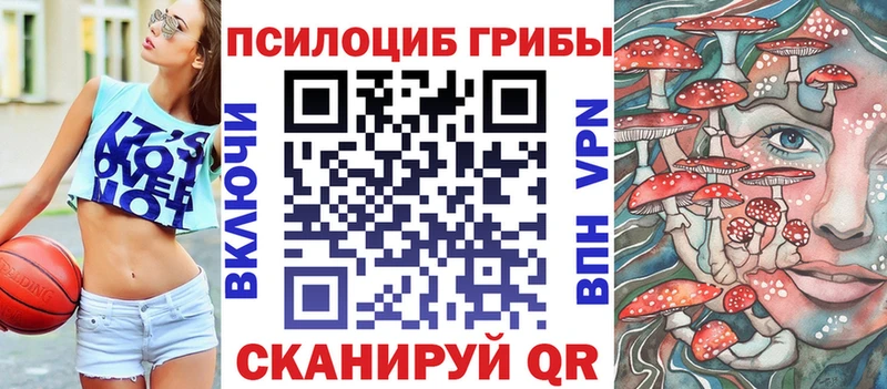 Псилоцибиновые грибы Psilocybine cubensis  Кола 